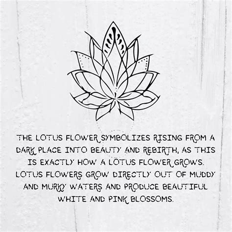 Lotus Flower Tattoo Ideas Meaning Tattoo Glee