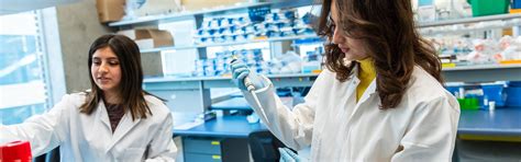 Master Of Engineering In Biomedical Engineering Meng Graduate School At The University Of British Columbia Ubc Master Of Engineering In Biomedical Engineering Meng Graduate School At The University Of British Columbia Ubc