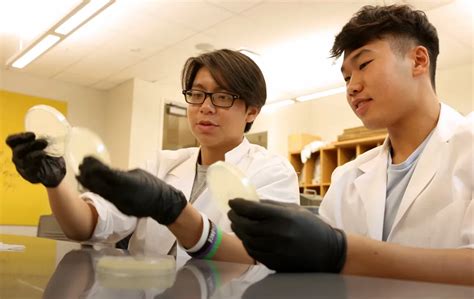 Mathematics Academy Penn Arts And Sciences High School Programs