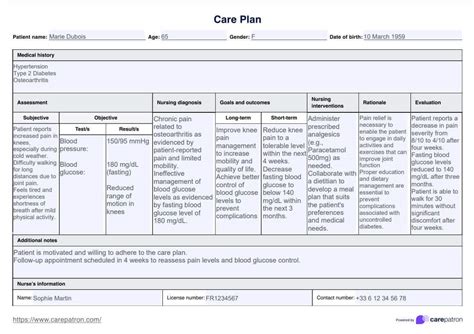 Must Have Nursing Care Plan Templates With Examples And Samples Must Have Nursing Care Plan Templates With Examples And Samples