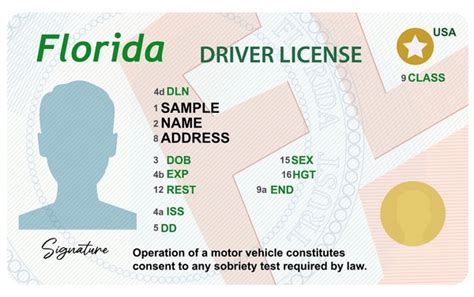 Naples Florida Drivers License