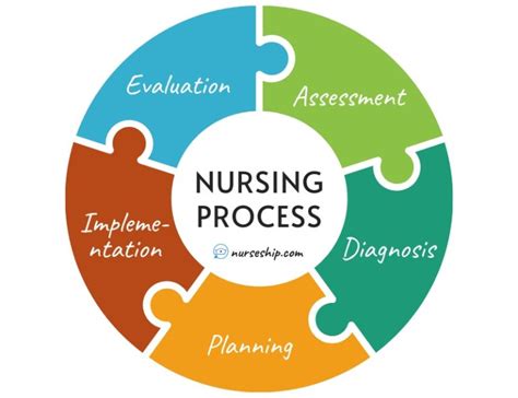 Nursing Process Overview Adpie Steps Pdf Nursing Medical Diagnosis