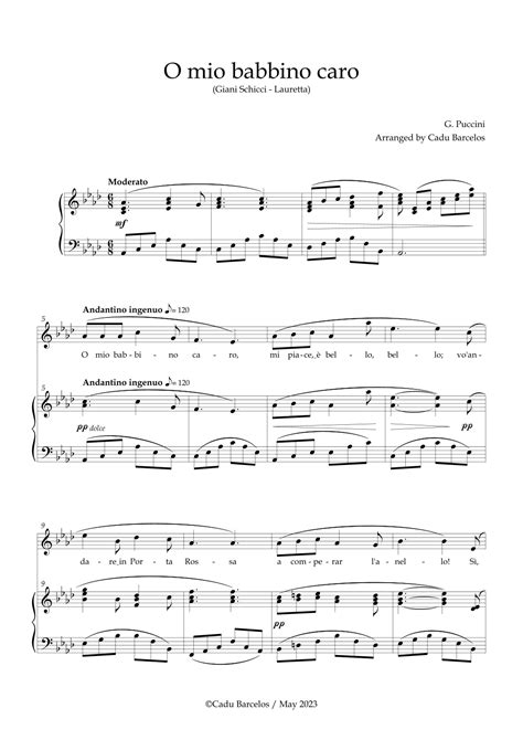 O Mio Babbino Caro Operatic Soprano Youtube