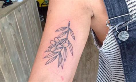 Olive Tattoos Symbol Of Peace Or Victory Favvosee