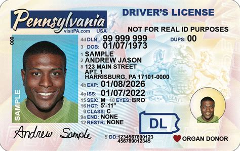 Organ Donation Driver And Vehicle Services Commonwealth Of Pennsylvania