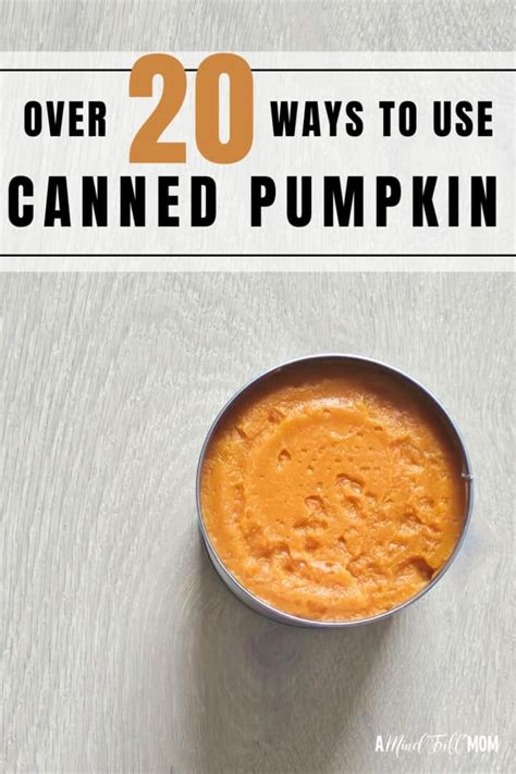 Over 20 Ways To Use Canned Pumpkin Sweet Amp Savory Over 20 Ways To Use Canned Pumpkin Sweet Amp Savory