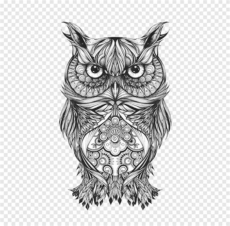 Owl Tattoo Images Browse 60 892 Stock Photos Vectors And Video Adobe Stock