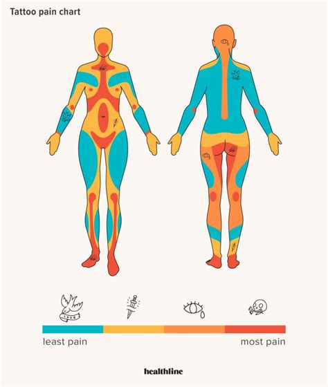 Pain Chart For Tattoo Placement Educational Chart Resources