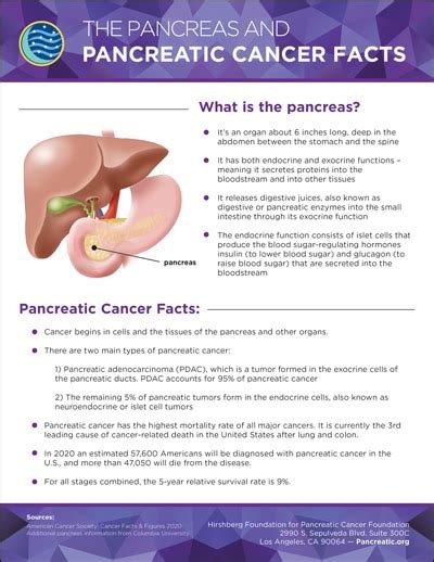 Pancreatic Cancer Nancy S List