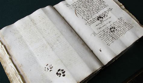 Pangur B N A 9Th C Old Irish Poem The Original Irish Version With 5 Translations The Brehon