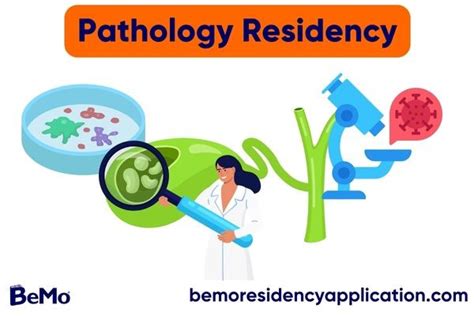 Pathology Residency In The Usa Insights Essentials Speaker Dr Madison Carter Pathology Resident University Of California Irvine Date Sunday March 23 2025 Time 5 Pm Uk Time Pathology Residency In The Usa Insights Essentials Speaker Dr Madison Carter Pathology Resident University Of California Irvine Date Sunday March 23 2025 Time 5 Pm Uk Time