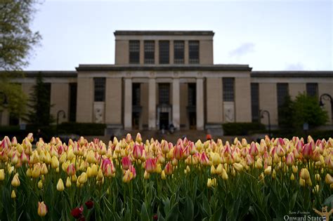 Penn State Library East Entrance To Close Temporarily Undergo Renovations Throughout Summer