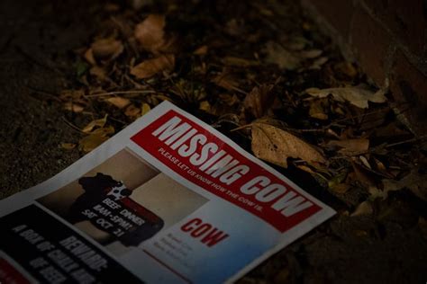 Penn Suspends Wharton Fraternity For Hanging Posters Alleged To Mock Kidnapped Israelis The Daily Pennsylvanian Penn Suspends Wharton Fraternity For Hanging Posters Alleged To Mock Kidnapped Israelis The Daily Pennsylvanian