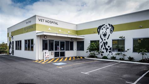 Penn Vet Emergency Hospital Vet Penn Vet Vet Hospital For Dogs Dog Converse Vet Clinic Penn