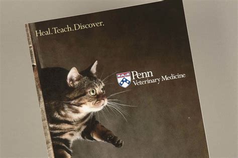Penn Vet Modern Sbc Strategic Branding And Communications