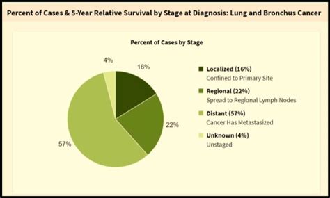 Percent Of Cases 5 Year Relative Survival By Stage At Diagnosis Download Scientific Diagram
