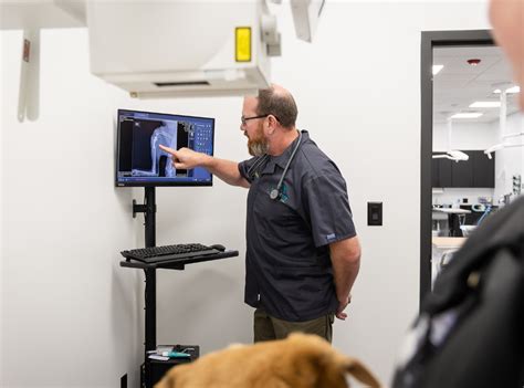 Pet Surgical Procedures Wentzville Mo Bear Creek Animal Hospital