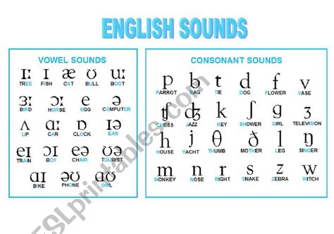 Phonetic Symbols Chart Esl Worksheet By Teacher Laura Phonetic Symbols Chart Esl Worksheet By Teacher Laura