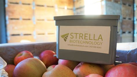President S Innovation Prize Winner Strella Biotechnology Raises 3 3 Million In Seed Funding