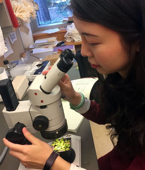 Producing New Biological Molecules Master Of Biotechnology