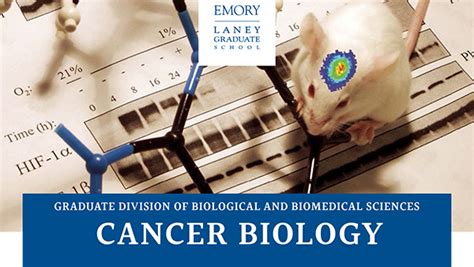 Program Brochure And Guidelines Emory Gdbbs Program Brochure And Guidelines Emory Gdbbs