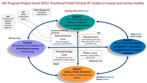 Program Project Grant P01 Translational Studies In Flash Particle Radiotherapy Department Program Project Grant P01 Translational Studies In Flash Particle Radiotherapy Department
