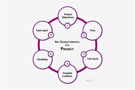 Project Characteristics Project Management Key Characteristics