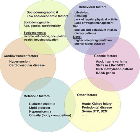 Risk Factors Associated With Ckd Risk Factors Associated With Ckd Are Download Scientific Diagram
