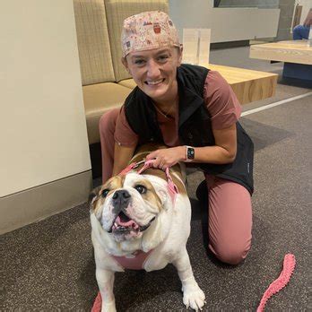 Ryan Veterinary Hospital Reviews Photos Phone Number Updated February 2026 Hospitals In Philadelphia City Philadelphia County Wheree