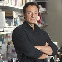 Scientists Sink Their Teeth Into A Molecular Understanding Of Human Personality The Stem Cellar