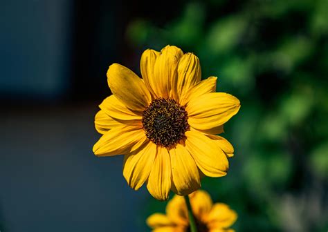 Sdce6f56414044859838dfb58e7b58055w Jpg Sdce6f56414044859838dfb58e7b58055w Jpg