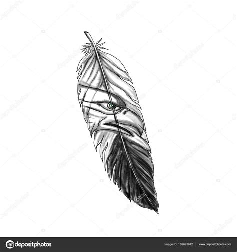 Sea Eagle Feather Tattoo Stock Photo Patrimonio 169691672