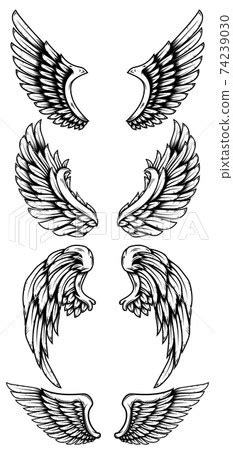 Set Of Eagle Wings In Tattoo Style Design Stock Illustration 74239030 Pixta