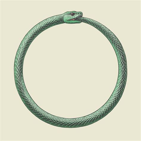 Snake Biting Its Own Tail Around My Arm Done At Needlefactory In Lana It By Johnny R Tattoos