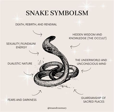 Snake Tattoo Guide Meanings Designs Cultural Symbolism 2025