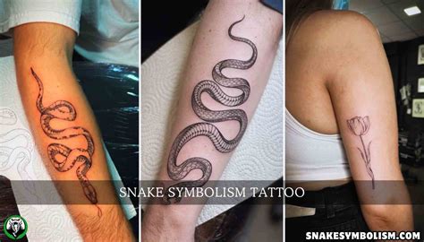 Snake Tattoo Meaning The Hidden Psychology Behind Your Most Powerful Body Art Choice Tattoo Snake Tattoo Meaning The Hidden Psychology Behind Your Most Powerful Body Art Choice Tattoo