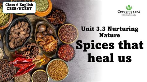 Spices That Heal Us Cbse Class 6 Ncert Poorvi Youtube
