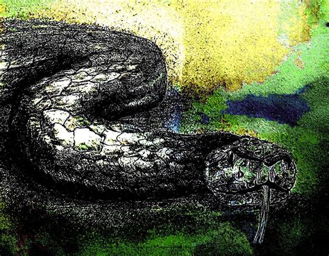 Spineless By Anna Rexha On Deviantart