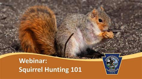 Squirrel Hunting 101 Webinar