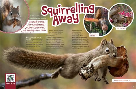 Squirrelling Away Nwf Ranger Rick