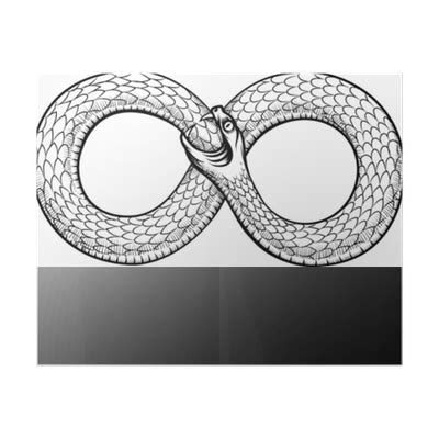 Sticker Snake Curled In Infinity Ring Ouroboros Devouring Its Own Tail Pixers Co Nz