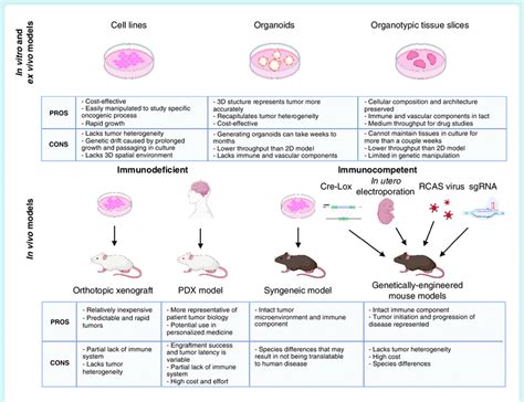 Summary Of Advantages And Disadvantages Of Preclinical Models For Rare Download Scientific Diagram