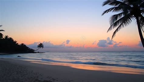 Sunset Beach Palm Silhouettes Tropical Evening Coastal Beauty Island Vibe Stock Photo Sunset Beach Palm Silhouettes Tropical Evening Coastal Beauty Island Vibe Stock Photo