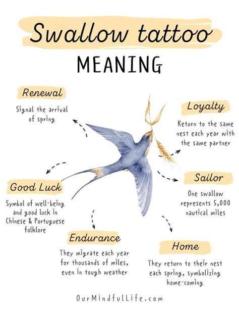 Swallow Birds Tattoo Meaning Tattoo Generator Iq