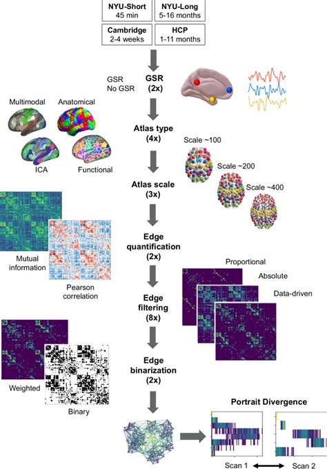 Systematic Evaluation Of Fmri Data Processing Pipelines For Consistent Functional Connectomics Nature Communications