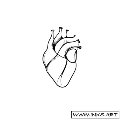 Tattoo Design Anatomically Correct Human Heart Style Minimalist Tattoo Design Anatomically Correct Human Heart Style Minimalist