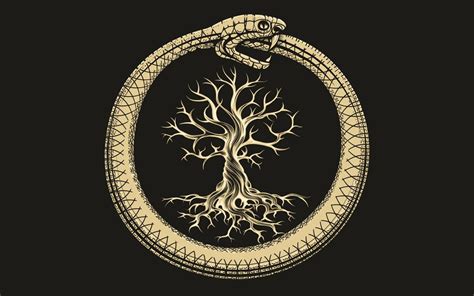 The Endless Cycle A Snake Eating Itself Diapteron Shop