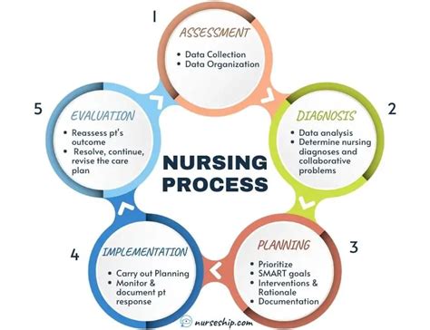 The Five Step Nursing Process Explained Intro To Adpie Lecturio Nursing The Five Step Nursing Process Explained Intro To Adpie Lecturio Nursing