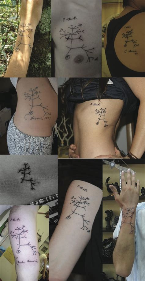 The Genealogical World Of Phylogenetic Networks Tattoo Monday Xiii Bird Trees