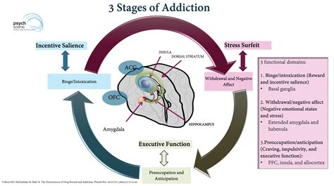 The Neuroscience Of Addiction Application To Clinical Practice The Neuroscience Of Addiction Application To Clinical Practice
